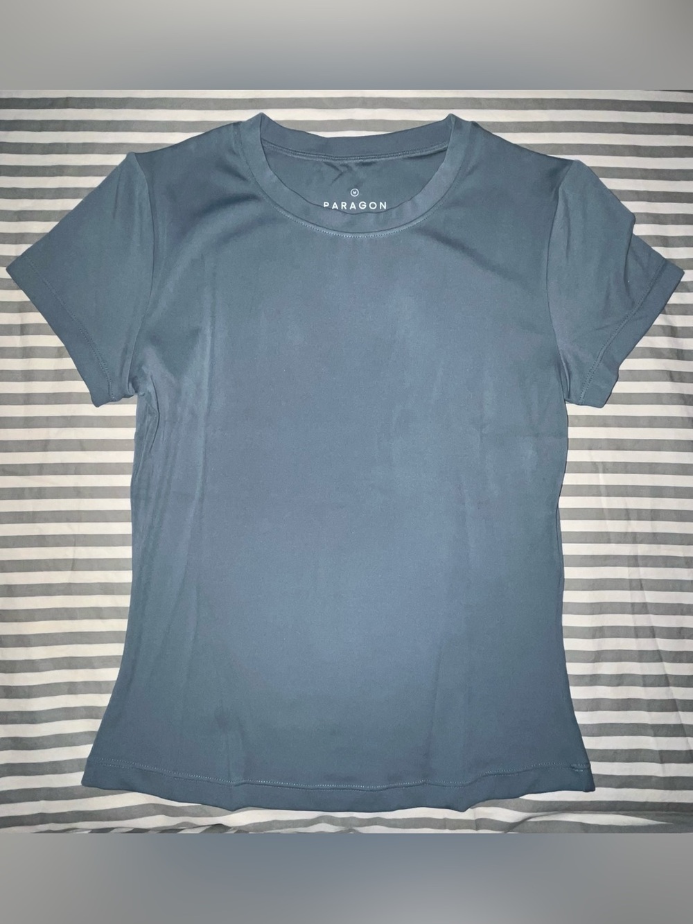 Paragon Fitwear Reluna Full Length Short Sleeve Top in Slate Size M